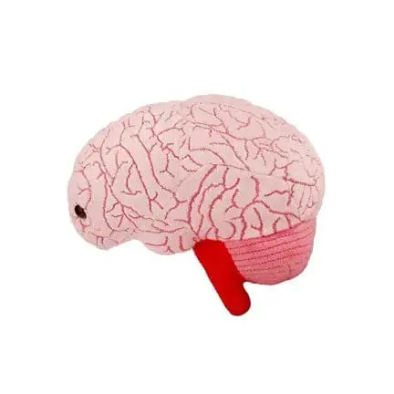 Brain Plush – GIANTmicrobes Neuroscience Toy Giant Microbes Ziya Blue