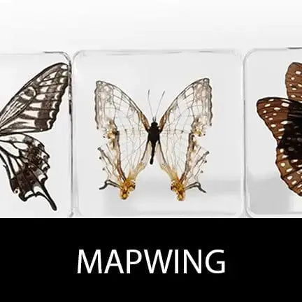 Butterfly Specimen | Real Insect in High-Transparency Resin Ziya Blue Ziya Blue