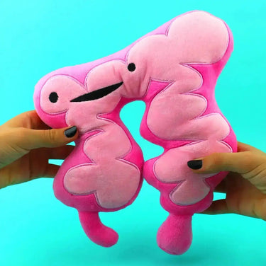 Colon Plushie | "You Move Me" Intestinal Pillow I Heart Guts Ziya Blue