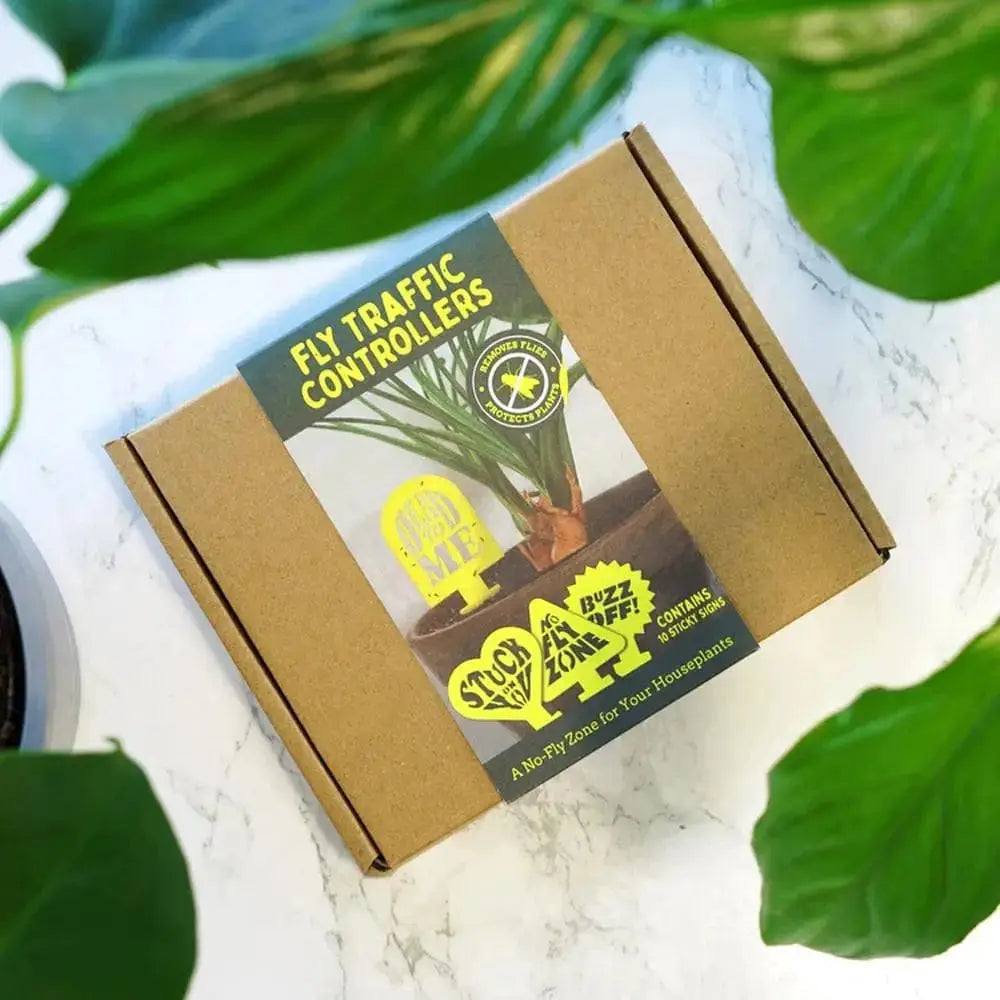 Decorative Fruit Fly Traps - The "Fly Traffic Controllers" Bubblegum Stuff Ziya Blue