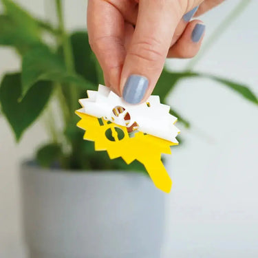 Decorative Fruit Fly Traps - The "Fly Traffic Controllers" Bubblegum Stuff Ziya Blue