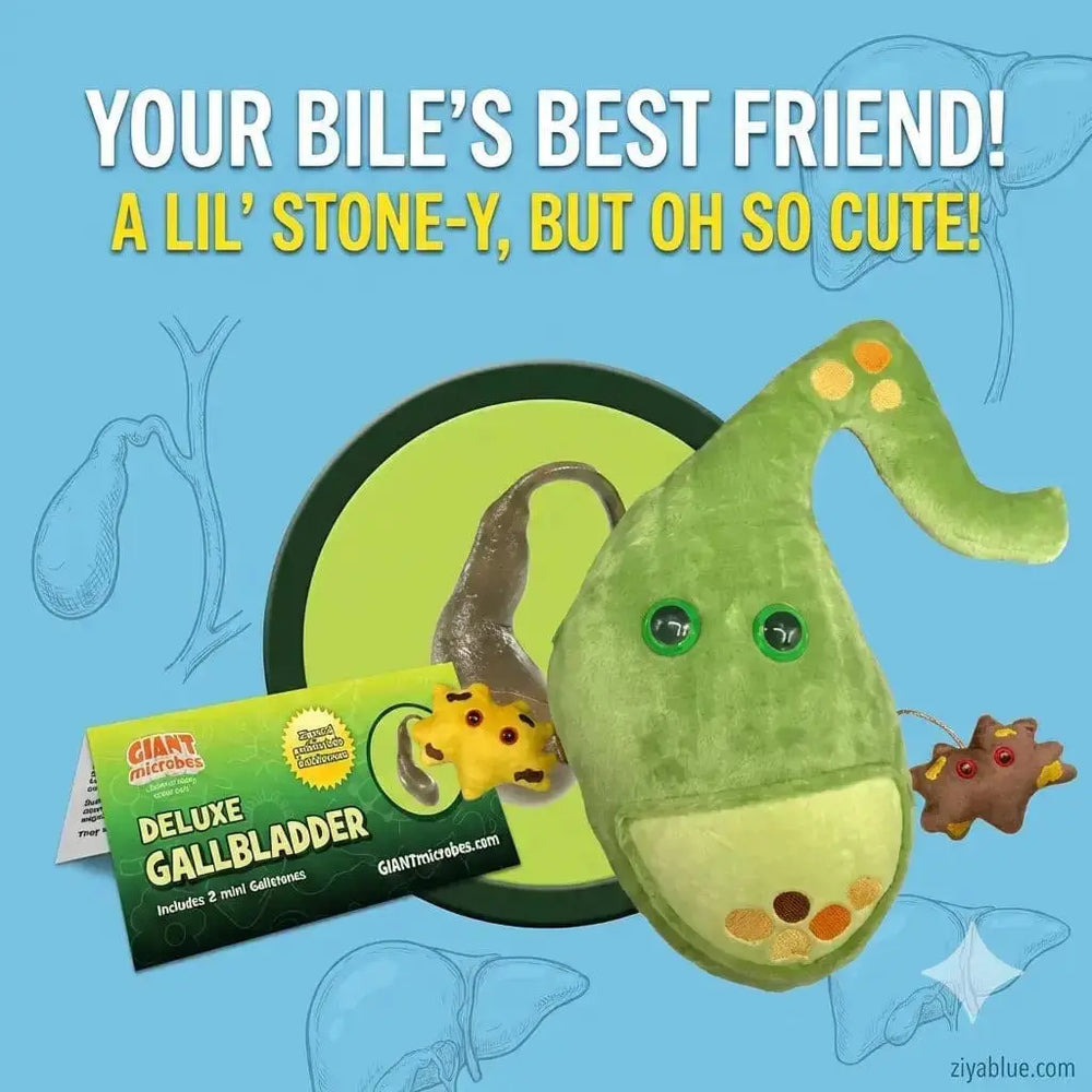 Deluxe Gallbladder Plush: Anatomy Toy 💚✨ Ziya Blue Ziya Blue