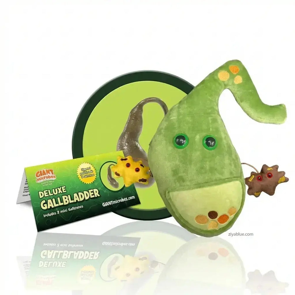 Deluxe Gallbladder Plush: Anatomy Toy 💚✨ Ziya Blue Ziya Blue