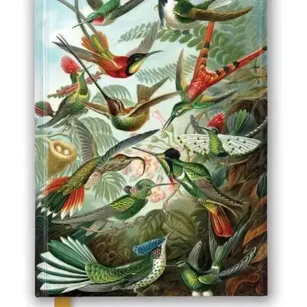 Ernst Haeckel Hummingbirds Journal Texas Bookman Ziya Blue
