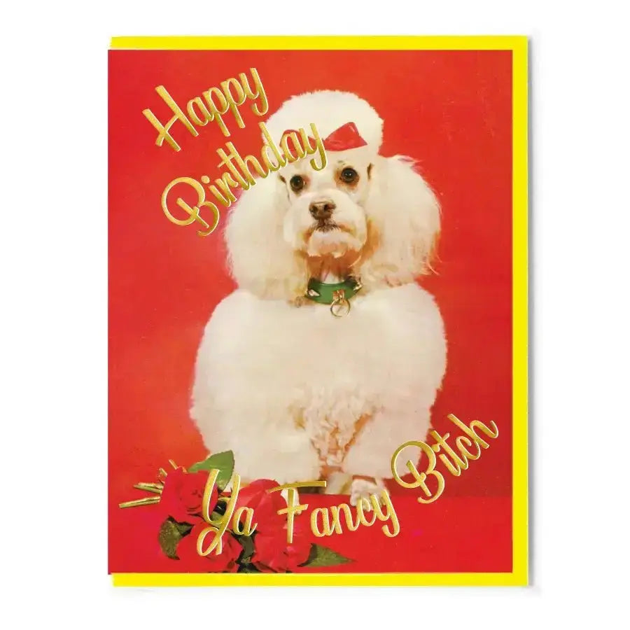 Fancy Bitch Card: Funny Retro Poodle Birthday Greeting Smitten Kitten Ziya Blue