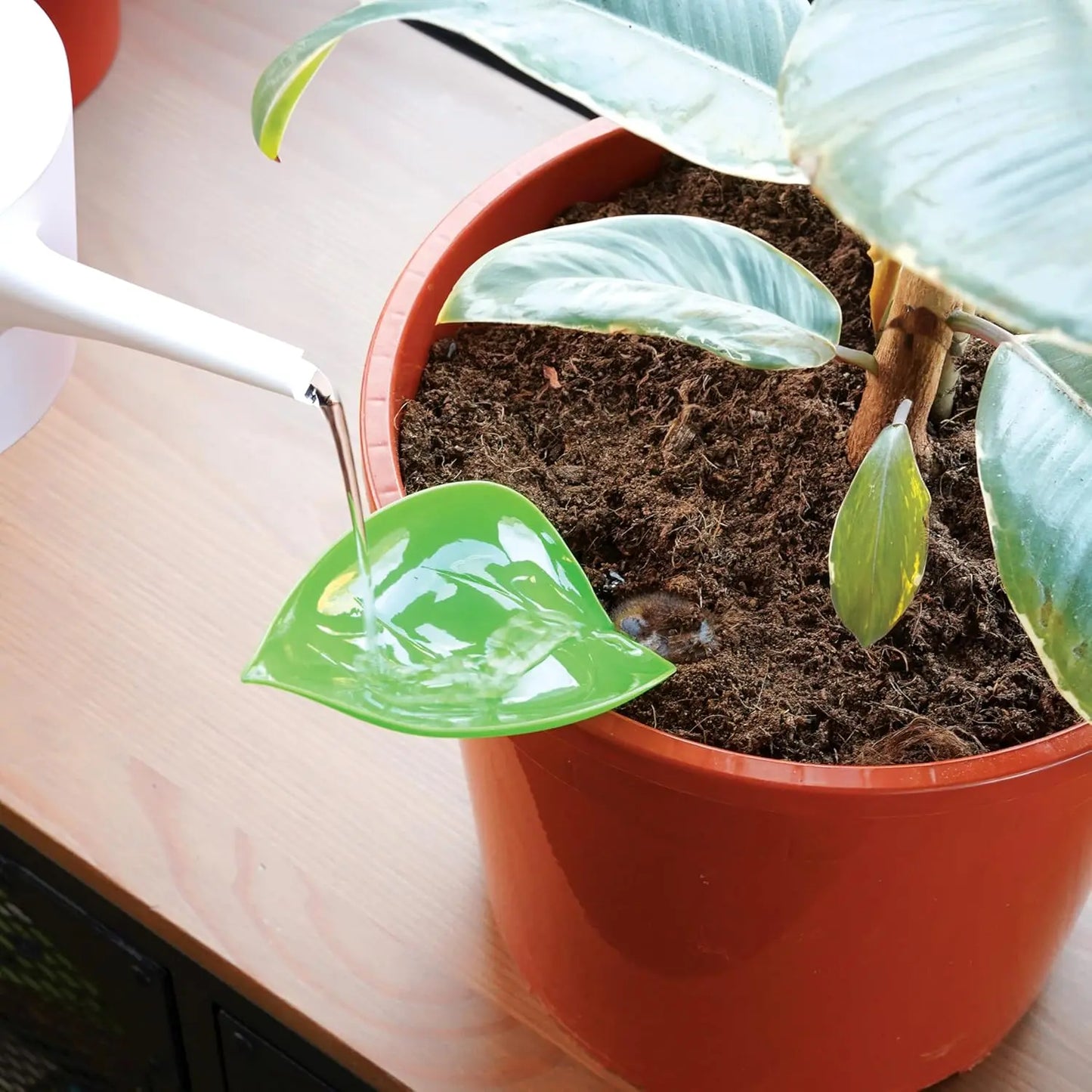 Foliage Funnels Leaf Watering Tool: Plant Parent Gift Bubblegum Stuff Ziya Blue