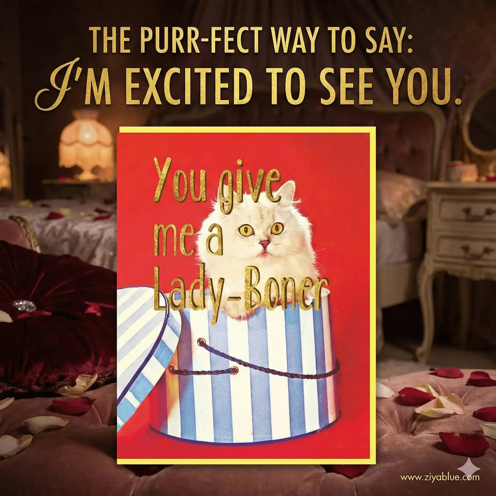 Funny Anniversary Card: "You Give Me A Lady Boner" Smitten Kitten Ziya Blue