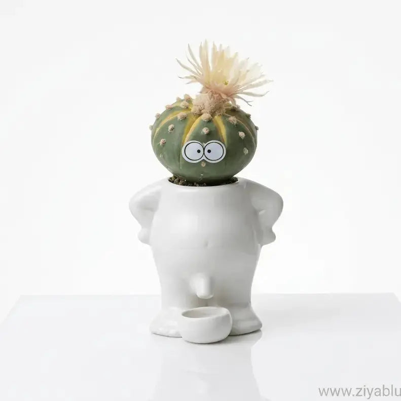 Funny Peeing Planter - The "Nature's Call" Gag Succulent Pot Ziya Blue Ziya Blue