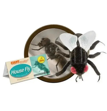 GIANTmicrobes House Fly Plush Toy | Novelty Bug Gift Giant Microbes Ziya Blue