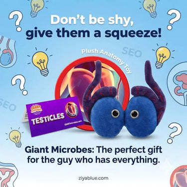 GIANTmicrobes Testicles Plush: The Anatomy Toy with Guts 🩺✨ Giant Microbes Ziya Blue