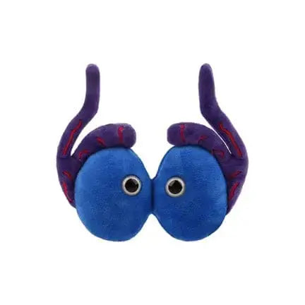 GIANTmicrobes Testicles Plush: The Anatomy Toy with Guts 🩺✨ Giant Microbes Ziya Blue