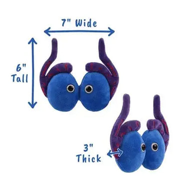 GIANTmicrobes Testicles Plush: The Anatomy Toy with Guts 🩺✨ Giant Microbes Ziya Blue
