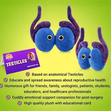 GIANTmicrobes Testicles Plush: The Anatomy Toy with Guts 🩺✨ Giant Microbes Ziya Blue