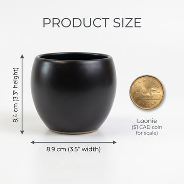 Emerson Pot: Sleek Modern Planter for Your Botanical Sanctuary