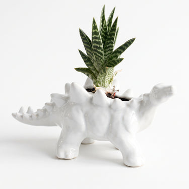Dinosaur Succulent Planter - White Stegosaurus Ceramic Pot