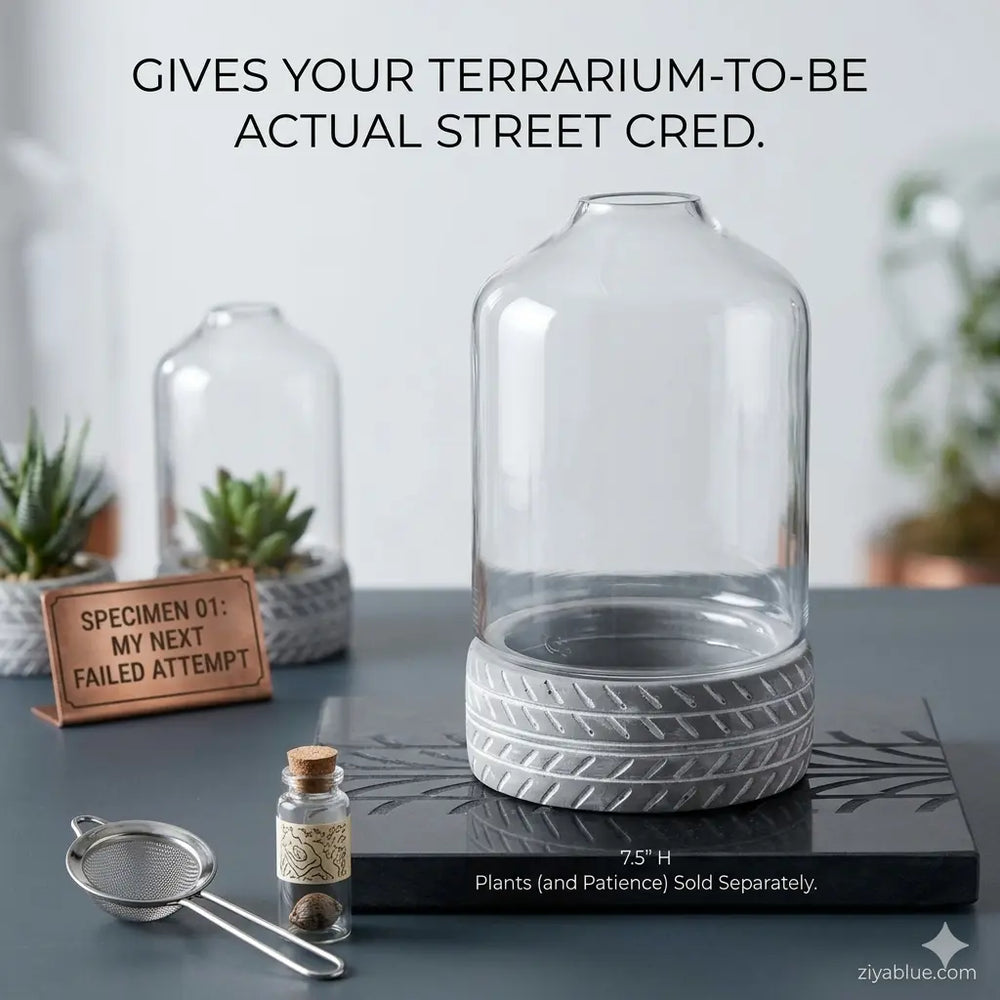 Glass Terrarium with Concrete Base | 7.5" Planter Cloche  Ziya Blue