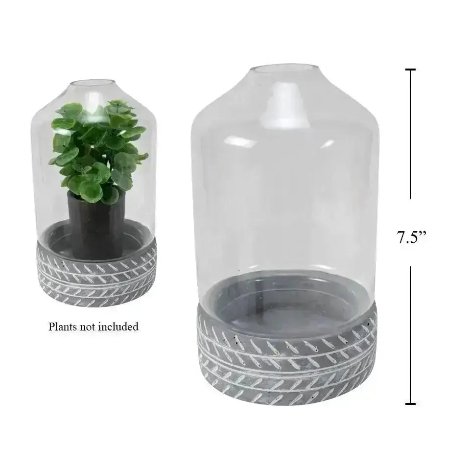 Glass Terrarium with Concrete Base | 7.5" Planter Cloche  Ziya Blue
