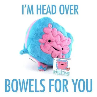 "Go With Your Gut" I Heart Guts Intestine Plush I Heart Guts Ziya Blue
