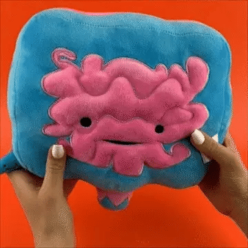 "Go With Your Gut" I Heart Guts Intestine Plush I Heart Guts Ziya Blue