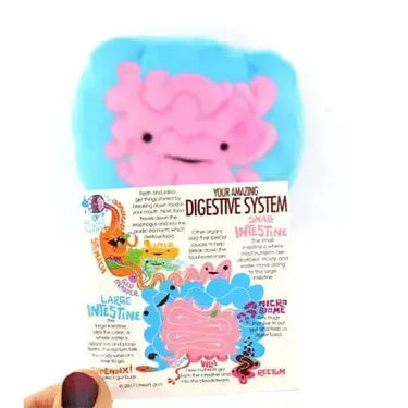 "Go With Your Gut" I Heart Guts Intestine Plush I Heart Guts Ziya Blue