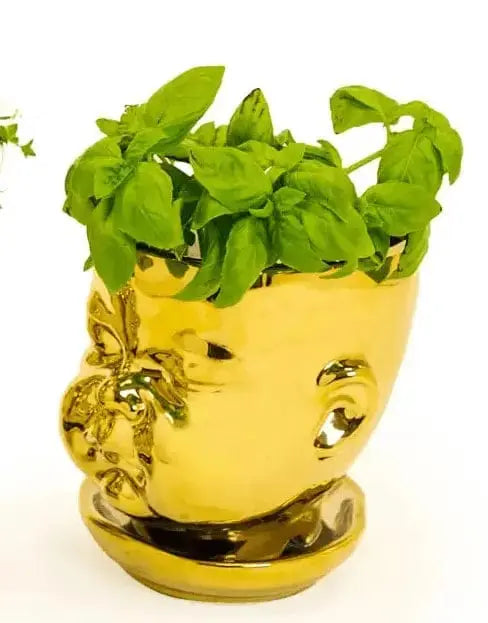 Gold Baby Face Planter - Closed Mouth Surrealist Ceramic Pot McGowan & Rutherford Ltd Ziya Blue