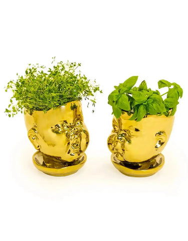 Gold Baby Face Planter - Closed Mouth Surrealist Ceramic Pot McGowan & Rutherford Ltd Ziya Blue