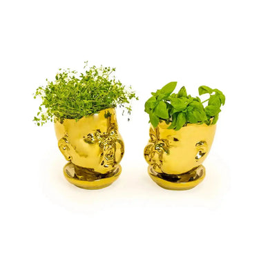 Gold Baby Face Planter - Open Mouth Ceramic Pot McGowan & Rutherford Ltd Ziya Blue