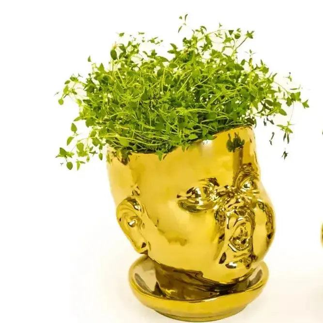 Gold Baby Face Planter - Open Mouth Ceramic Pot McGowan & Rutherford Ltd Ziya Blue