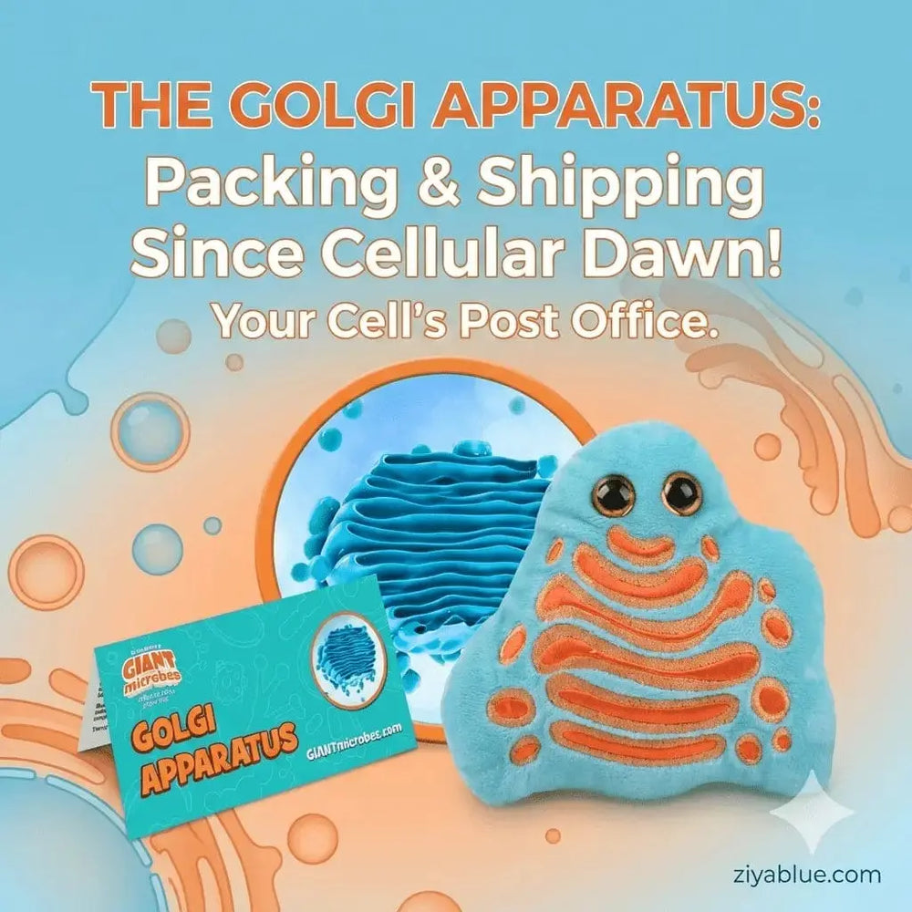 Golgi Apparatus Plush | Cellular Post Office Toy Giant Microbes Ziya Blue