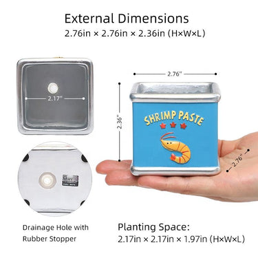 Tinned Shrimp Planter