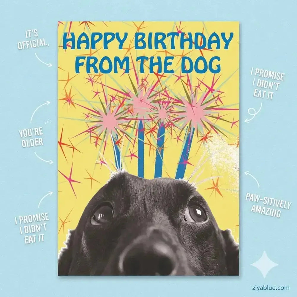 Happy Birthday From The Dog Card Bite Your Granny Ziya Blue