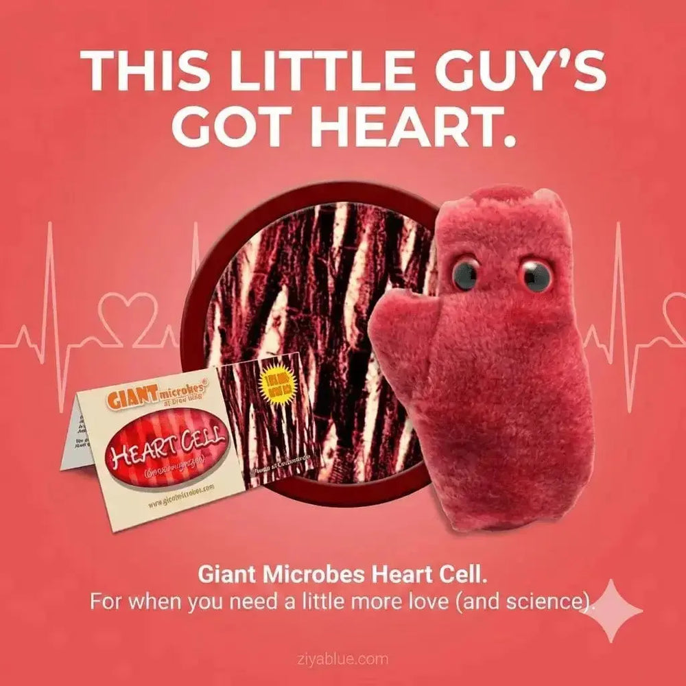 Heart Cell Plush with Sound: Cardiac Toy ❤️🔬 Giant Microbes Ziya Blue