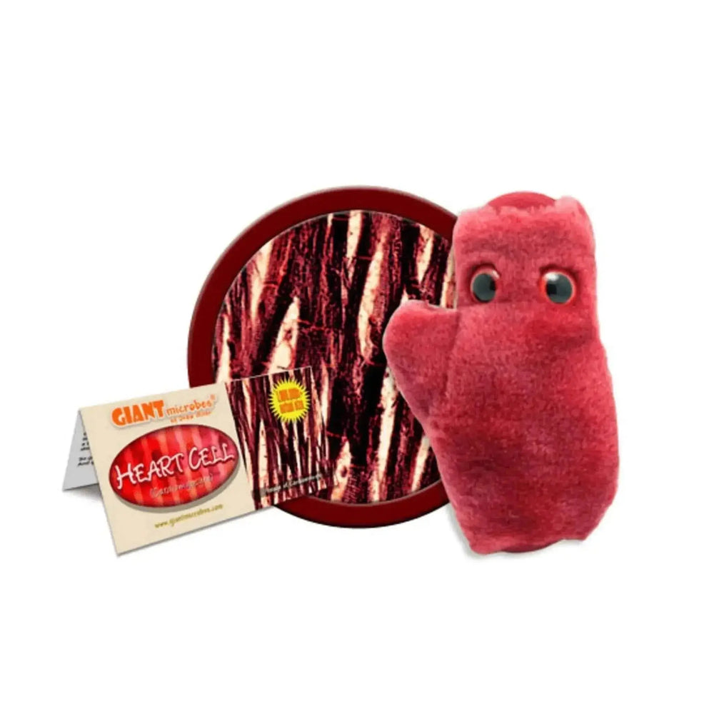 Heart Cell Plush with Sound: Cardiac Toy ❤️🔬 Giant Microbes Ziya Blue
