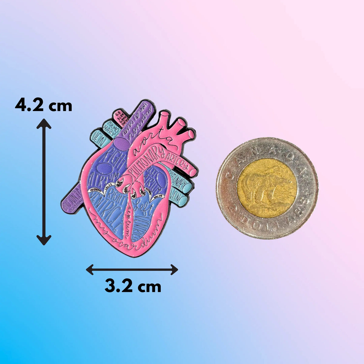 Heart Organ Pin  Ziya Blue