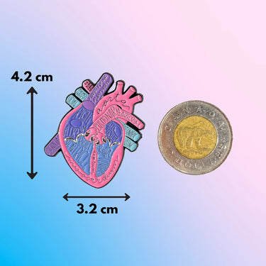 Heart Organ Pin  Ziya Blue