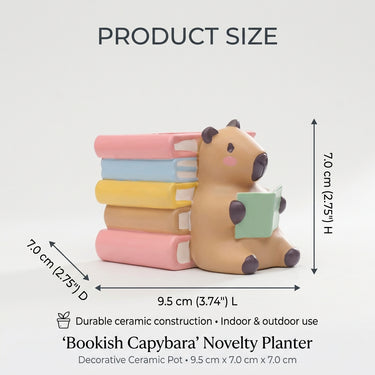 Reading Capybara Planter
