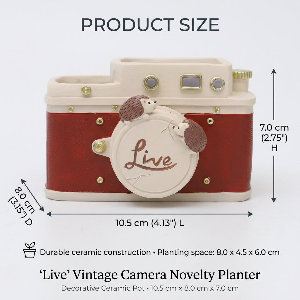 Retro Camera Planter