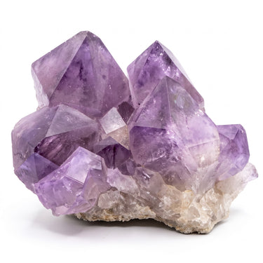 Dark Amethyst Clusters (Large)