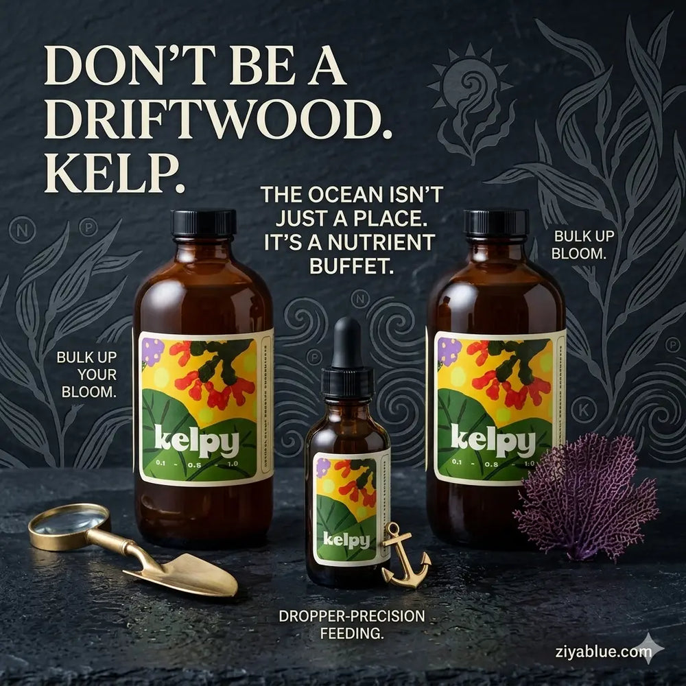 Kelpy Plant Food – The Juice Your Jungle Craves  Ziya Blue