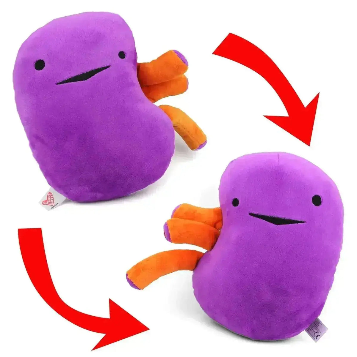 Kidney Plushie | Funny Organ Pillow & Post-Op Recovery Gift I Heart Guts Ziya Blue