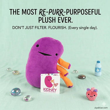 Kidney Plushie | Funny Organ Pillow & Post-Op Recovery Gift I Heart Guts Ziya Blue