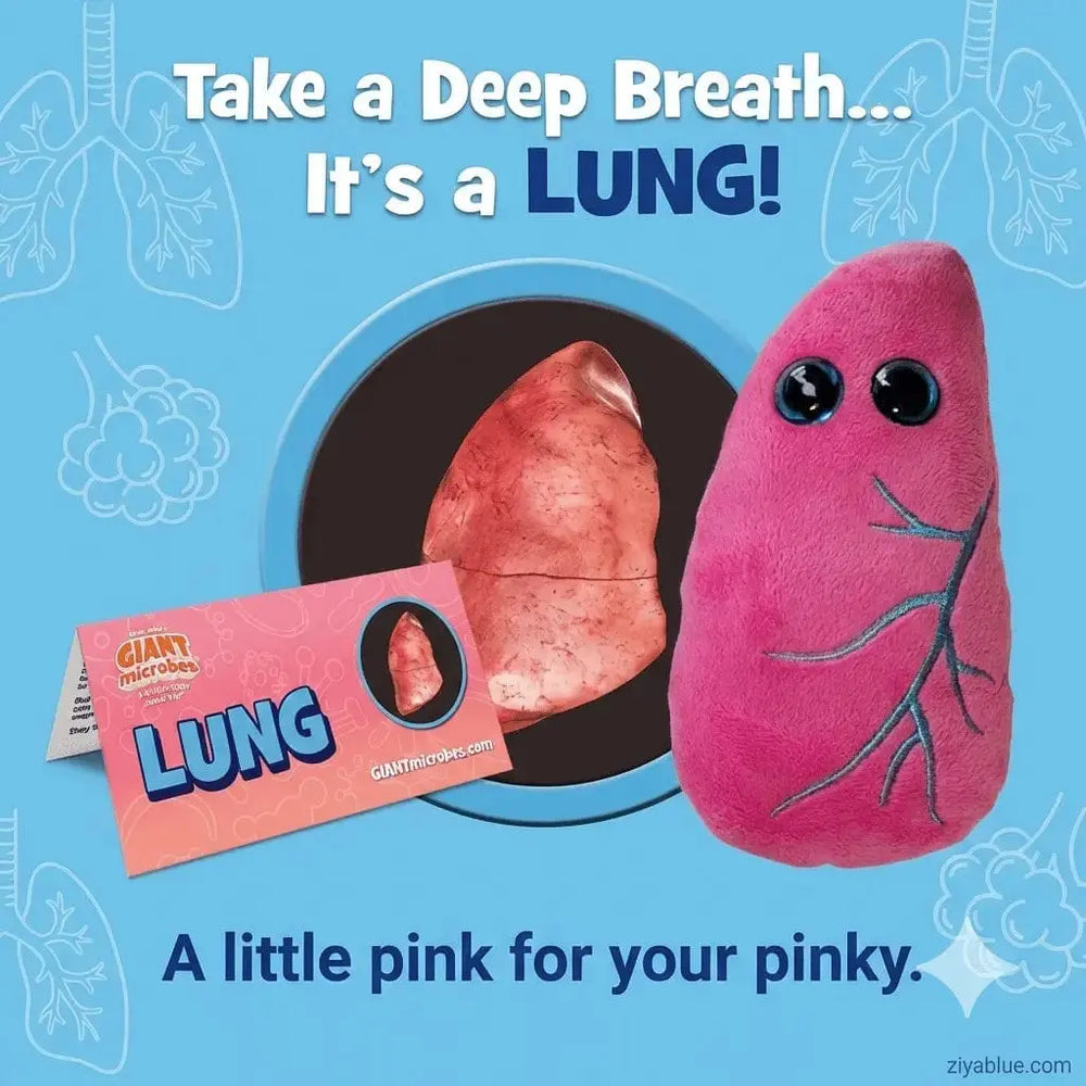Lung Plush: Cuddly Respiratory Anatomy Toy 🌬️✨ Ziya Blue Ziya Blue