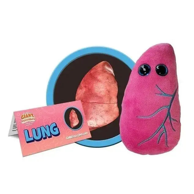 Lung Plush: Cuddly Respiratory Anatomy Toy 🌬️✨ Ziya Blue Ziya Blue