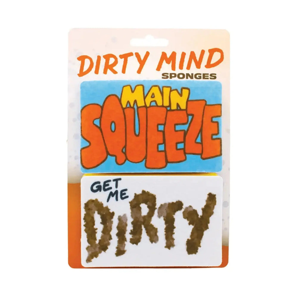 Main Squeeze Sponge Set Unemployed Philosophers Guild Ziya Blue