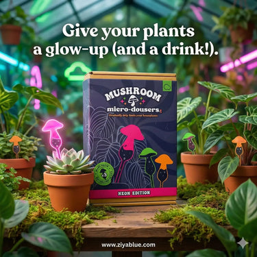 Mini Plant Life Support - Neon Glass Automatic Drip Feeder Bubblegum Stuff Ziya Blue