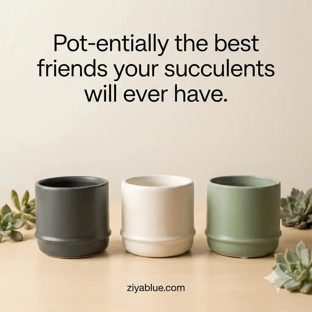 Minimalist Matte Ceramic Planter - Small Polaris Succulent Pot Colasanti Farms Limited Ziya Blue