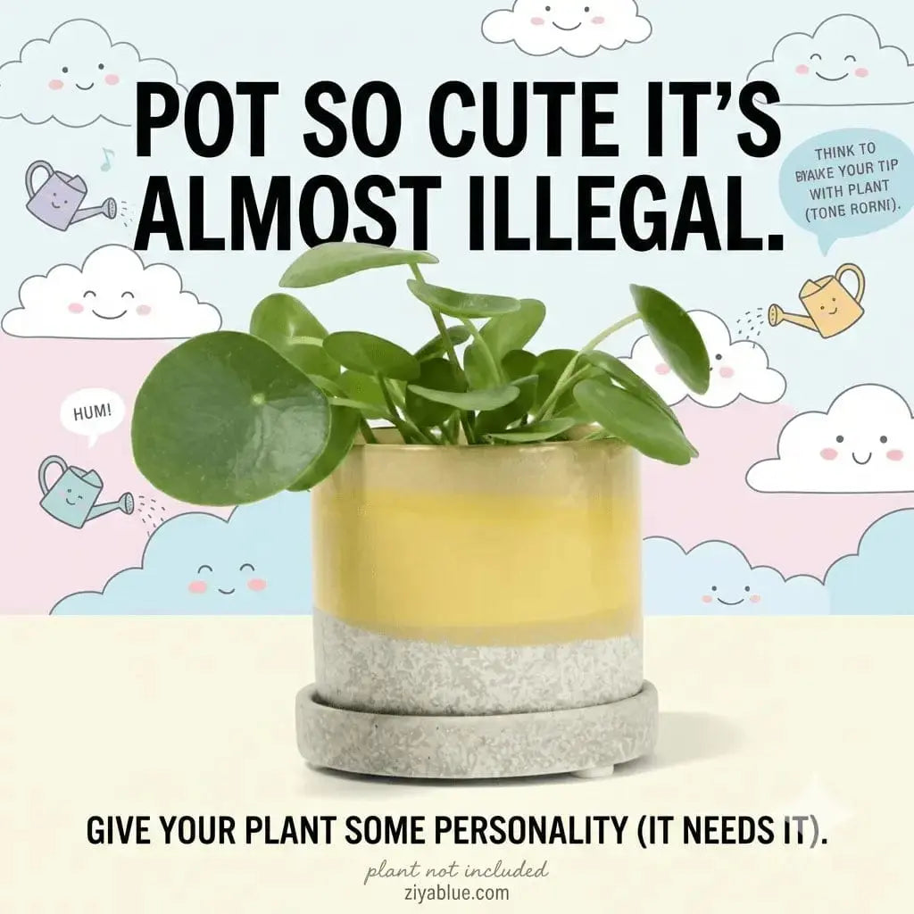 "Minute" 5" Ceramic Pot & Saucer Set | Glazed Planter with Drainage Chive Ziya Blue