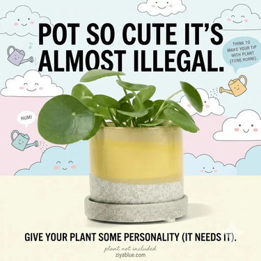 "Minute" 5" Ceramic Pot & Saucer Set | Glazed Planter with Drainage Chive Ziya Blue