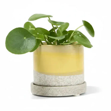 "Minute" 5" Ceramic Pot & Saucer Set | Glazed Planter with Drainage Chive Ziya Blue