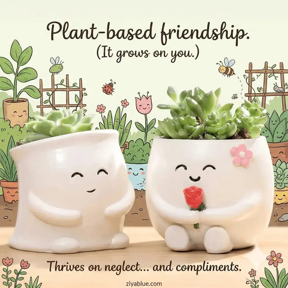 Unique Indoor Planters: Stylish Pots for Succulents  Ziya Blue